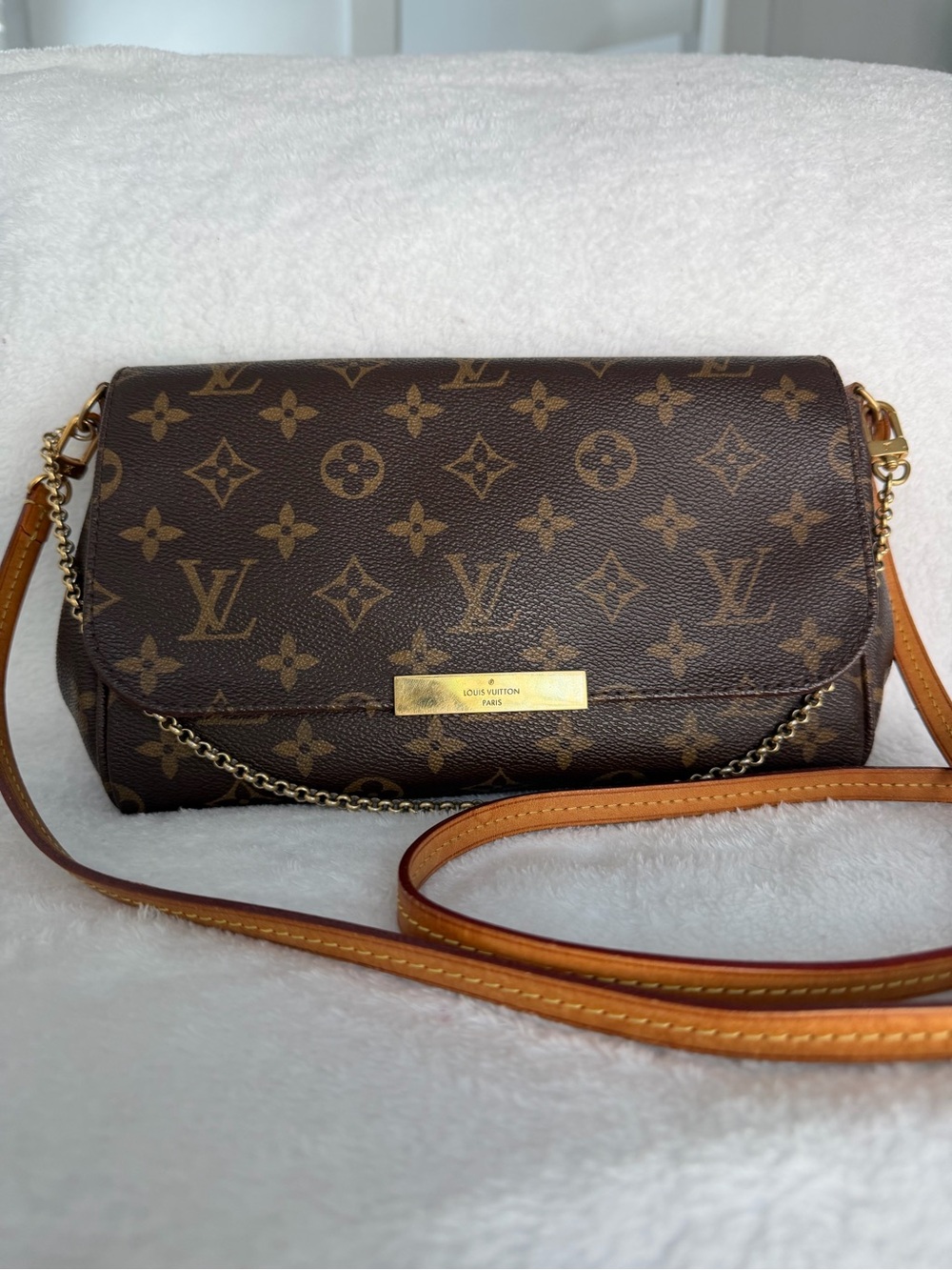 Louis Vuitton Monogram Favorite mm